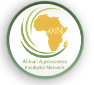 African Agribusiness Incubators Network